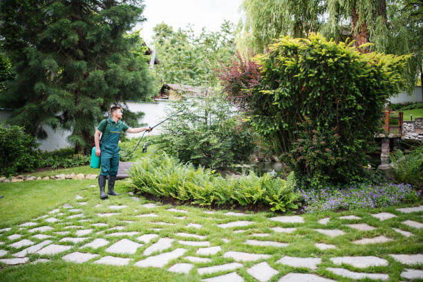 Best Insect Control  in King City, OR