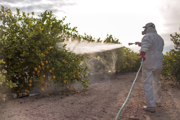 Professional Pest Control in King City, OR