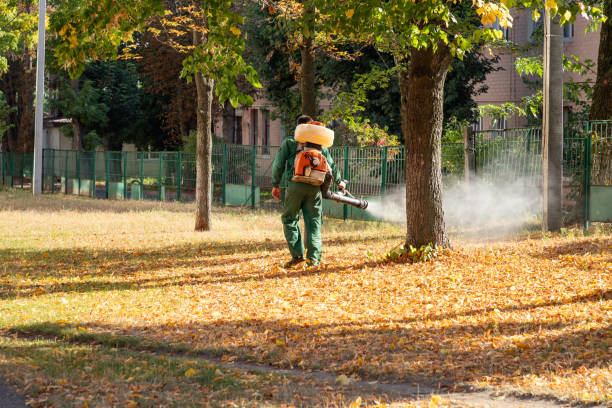 Best Termite Control Services  in King City, OR